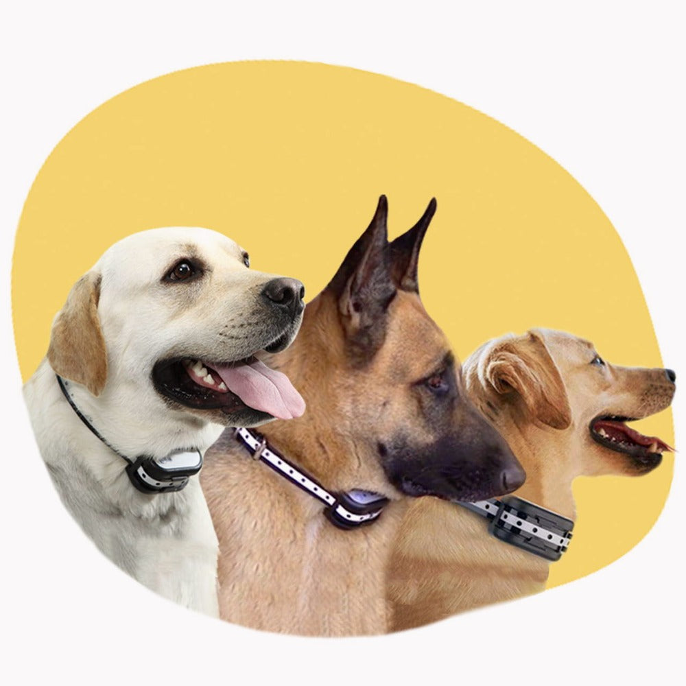 Draadloze Elektronische Hek en Trainingshalsband – Veilig en Betrouwbaar voor Honden