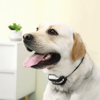 Draadloze Elektronische Hek en Trainingshalsband – Veilig en Betrouwbaar voor Honden